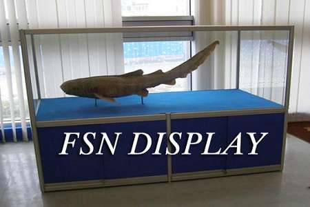 定制展示柜
